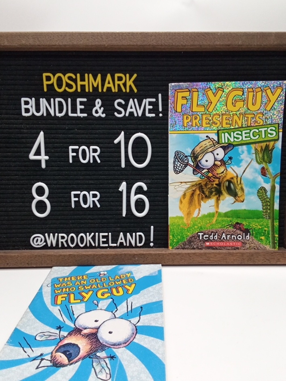 Fly Guy Level Reader Bundle Book#10